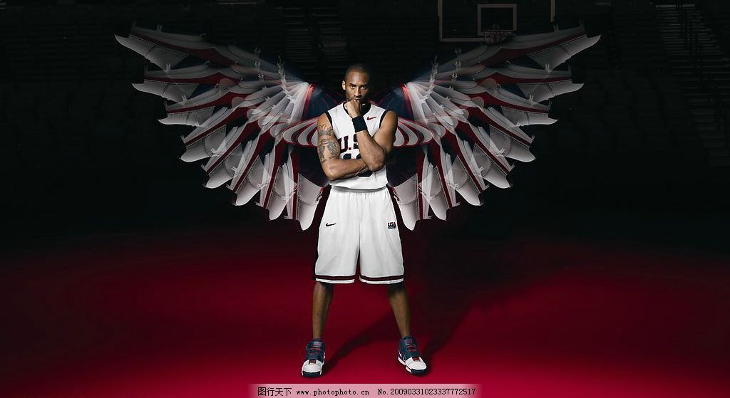 棒球生态与 棒球生态与