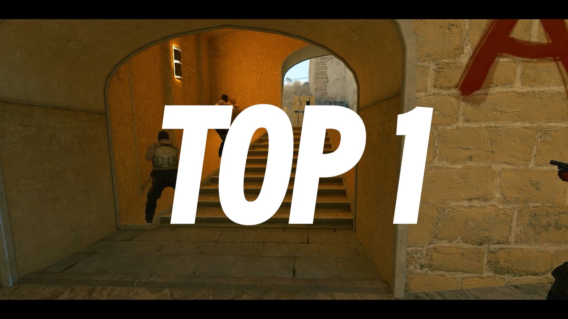 缩短专项动 缩短专项动