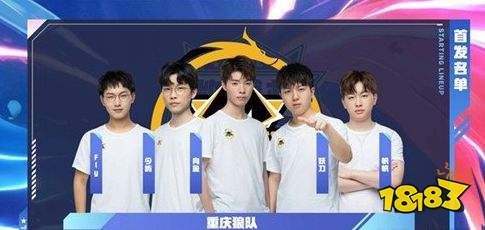 为什么请